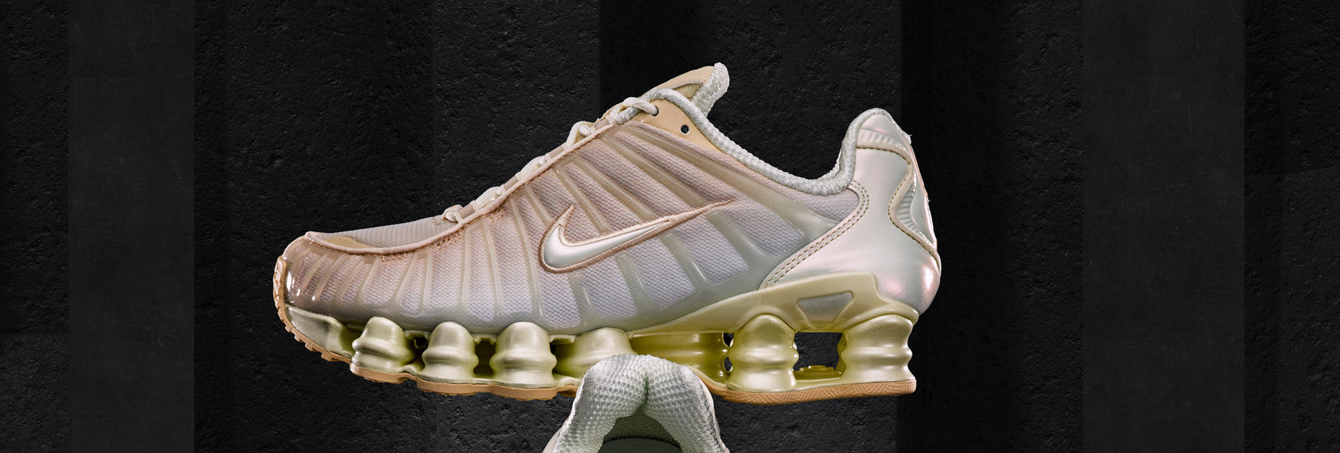 Immagine diapositiva